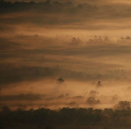 Everything​.​.​. ​Meaningless